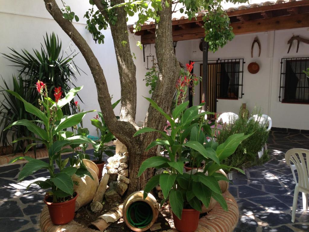 Casa Rural El Rincon Del Infante Villa de Don Fadrique Extérieur photo